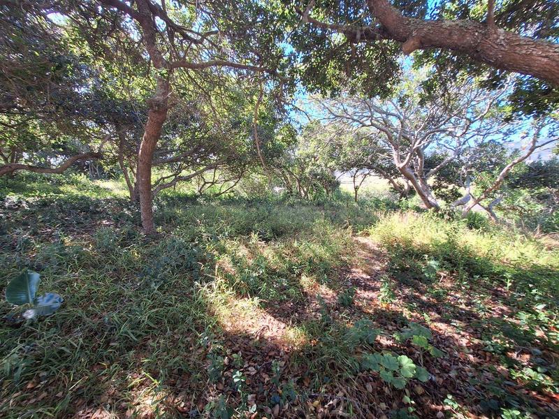 0 Bedroom Property for Sale in Bergsig Western Cape